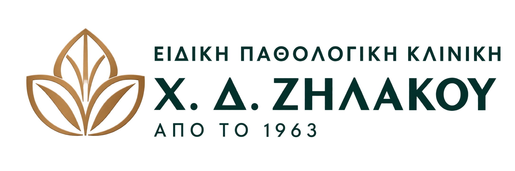 Ειδική Παθολογική Κλινική Χ. Δ. Ζηλάκου — Από το 1963